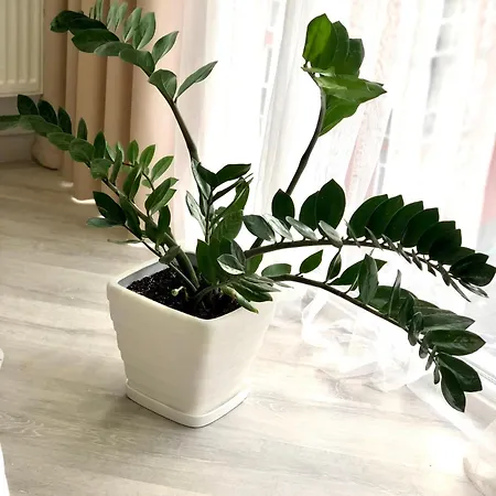 Osapart Perfect In A Complex Great Britain Апартаменти Львів