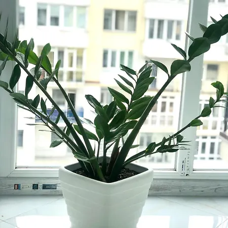 Апартаменти Osapart Perfect In A Complex Great Britain *