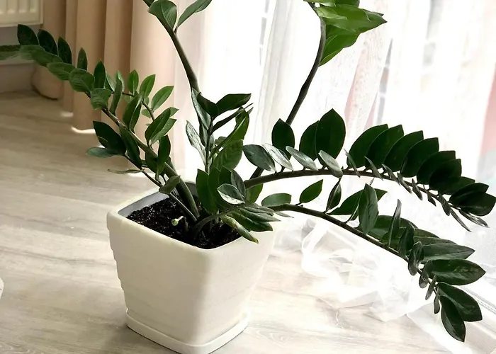 Osapart Perfect In A Complex Great Britain Апартаменты Львов