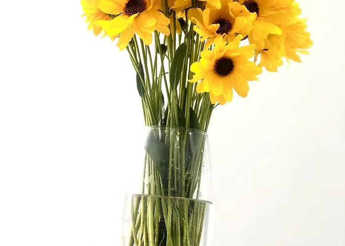 Osapart Perfect In A Complex Great Britain Apartamento Leópolis