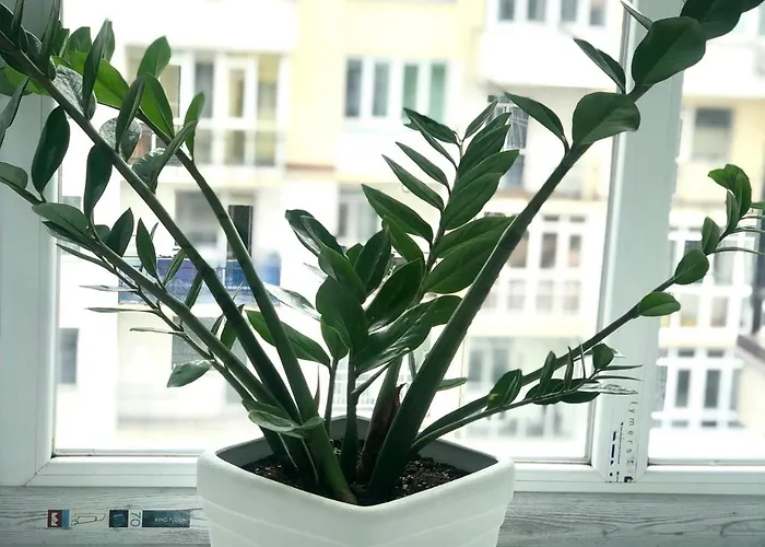 Апартаменты Osapart Perfect In A Complex Great Britain *