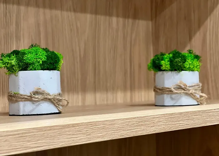 Osapart Perfect In A Complex Great Britain