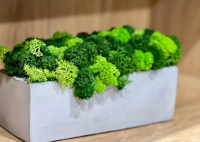 Lejlighed Osapart Perfect In A Complex Great Britain Lviv