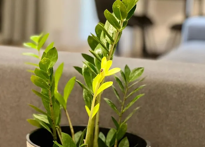 Osapart Perfect In A Complex Great Britain * Lviv