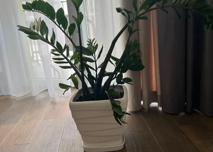 Osapart Perfect In A Complex Great Britain Lägenhet *