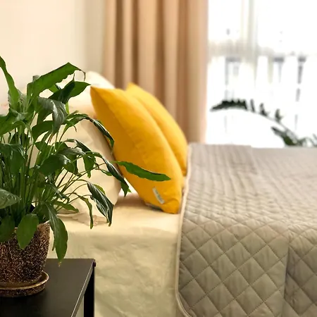 Osapart Perfect In A Complex Great Britain * Λβιβ