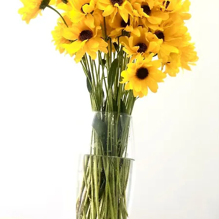 Osapart Perfect In A Complex Great Britain Διαμέρισμα Λβιβ